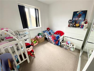 Picture 11
